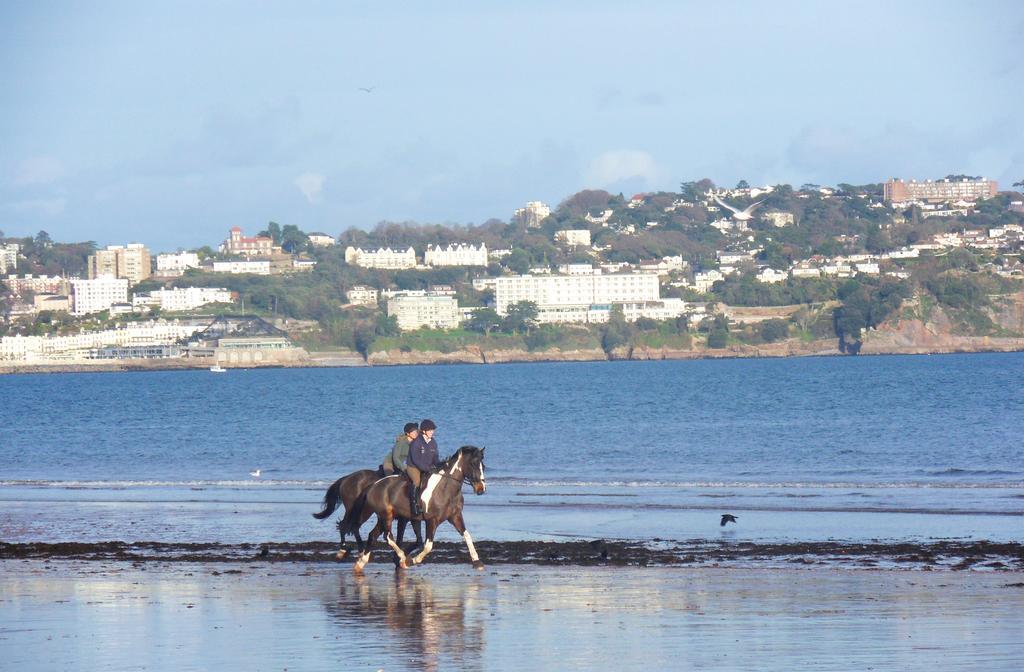 Rosemead Guest House Paignton Bagian luar foto